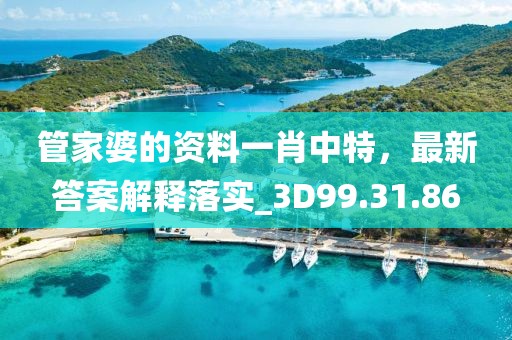管家婆的资料一肖中特，最新答案解释落实_3D99.31.86