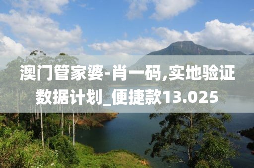 澳门管家婆-肖一码,实地验证数据计划_便捷款13.025