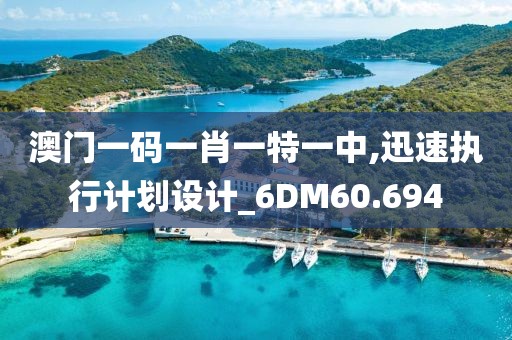 澳门一码一肖一特一中,迅速执行计划设计_6DM60.694