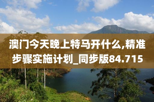 澳门今天晚上特马开什么,精准步骤实施计划_同步版84.715