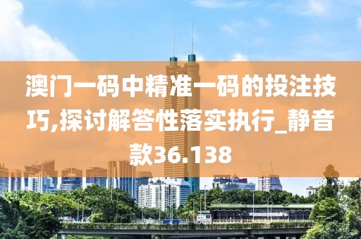 澳门一码中精准一码的投注技巧,探讨解答性落实执行_静音款36.138