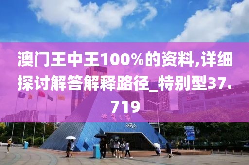 澳门王中王100%的资料,详细探讨解答解释路径_特别型37.719