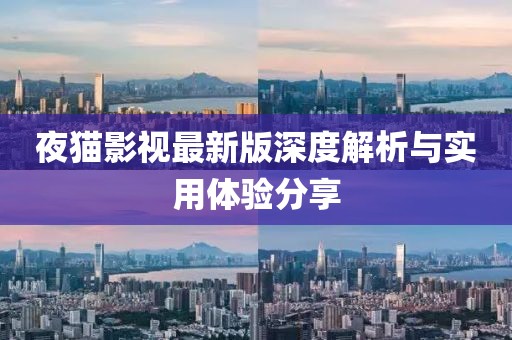 令友安 第13页