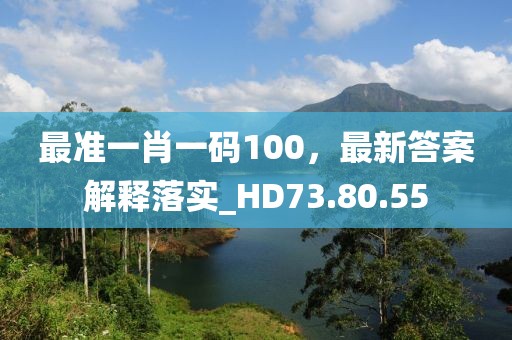 最准一肖一码100，最新答案解释落实_HD73.80.55