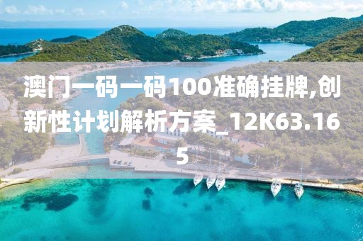 澳门一码一码100准确挂牌,创新性计划解析方案_12K63.165