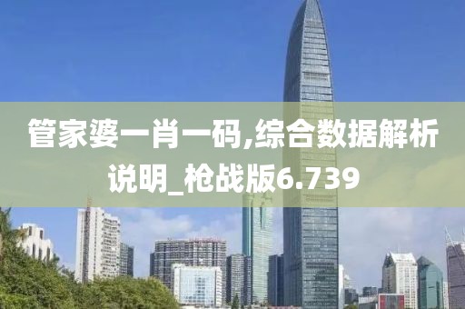 管家婆一肖一码,综合数据解析说明_枪战版6.739