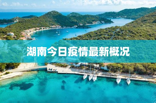 湖南今日疫情最新概况