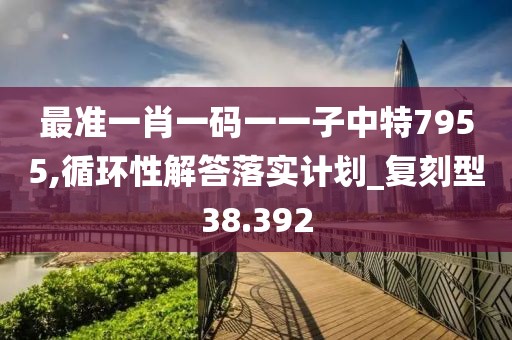 最准一肖一码一一子中特7955,循环性解答落实计划_复刻型38.392