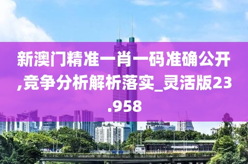 新澳门精准一肖一码准确公开,竞争分析解析落实_灵活版23.958