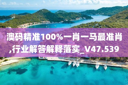 澳码精准100%一肖一马最准肖,行业解答解释落实_V47.539