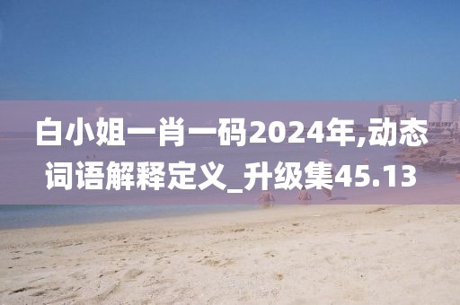 白小姐一肖一码2024年,动态词语解释定义_升级集45.13