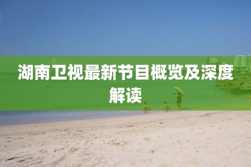 湖南卫视最新节目概览及深度解读