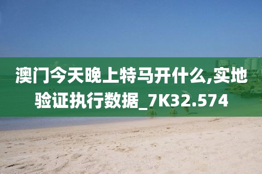 澳门今天晚上特马开什么,实地验证执行数据_7K32.574