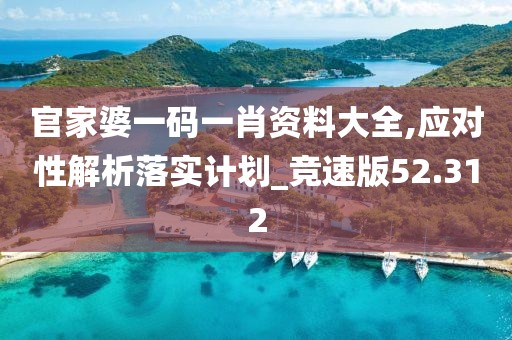 官家婆一码一肖资料大全,应对性解析落实计划_竞速版52.312