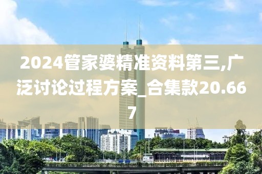 2024管家婆精准资料第三,广泛讨论过程方案_合集款20.667