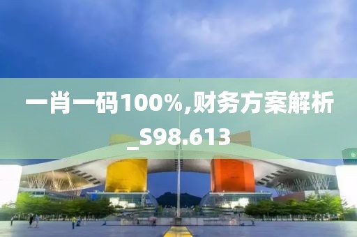 一肖一码100%,财务方案解析_S98.613