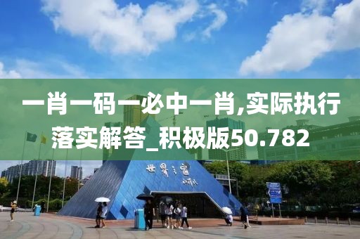 一肖一码一必中一肖,实际执行落实解答_积极版50.782