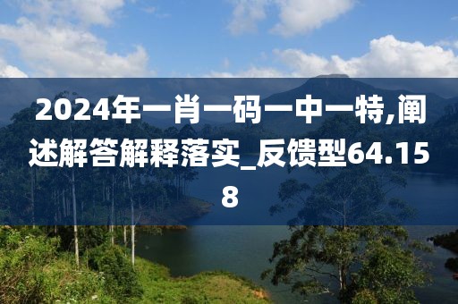 2024年一肖一码一中一特,阐述解答解释落实_反馈型64.158