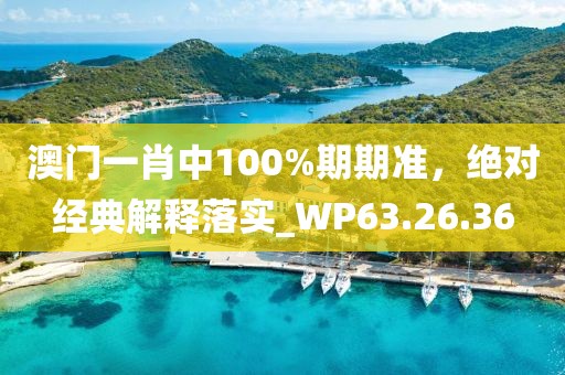 澳门一肖中100%期期准，绝对经典解释落实_WP63.26.36