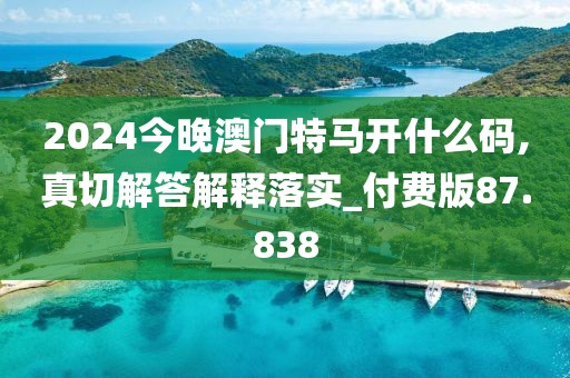 2024今晚澳门特马开什么码,真切解答解释落实_付费版87.838