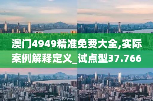 澳门4949精准免费大全,实际案例解释定义_试点型37.766