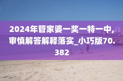 2024年管家婆一奖一特一中,审慎解答解释落实_小巧版70.382