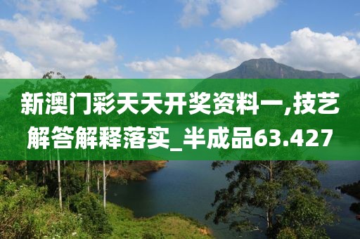 新澳门彩天天开奖资料一,技艺解答解释落实_半成品63.427