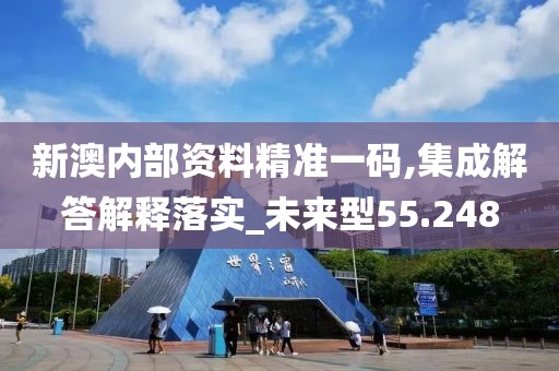新澳内部资料精准一码,集成解答解释落实_未来型55.248