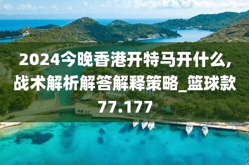 2024今晚香港开特马开什么,战术解析解答解释策略_篮球款77.177