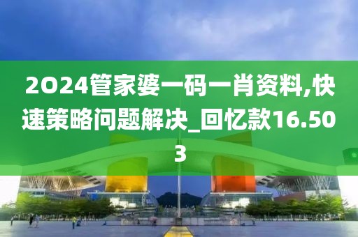 2O24管家婆一码一肖资料,快速策略问题解决_回忆款16.503