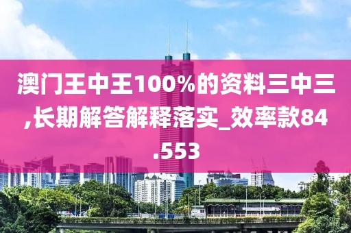 澳门王中王100%的资料三中三,长期解答解释落实_效率款84.553