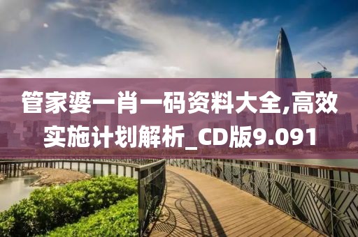 管家婆一肖一码资料大全,高效实施计划解析_CD版9.091
