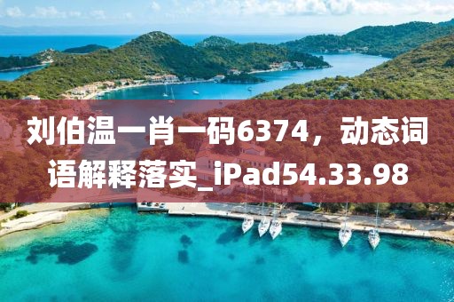 刘伯温一肖一码6374，动态词语解释落实_iPad54.33.98