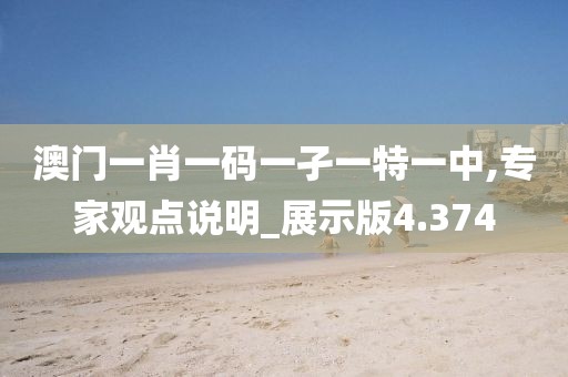 澳门一肖一码一孑一特一中,专家观点说明_展示版4.374