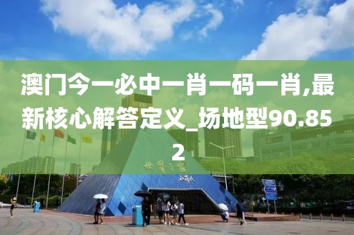 澳门今一必中一肖一码一肖,最新核心解答定义_场地型90.852