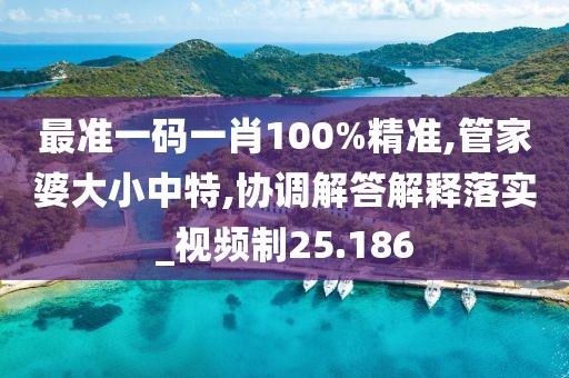 最准一码一肖100%精准,管家婆大小中特,协调解答解释落实_视频制25.186