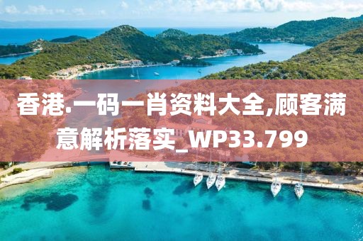 香港.一码一肖资料大全,顾客满意解析落实_WP33.799