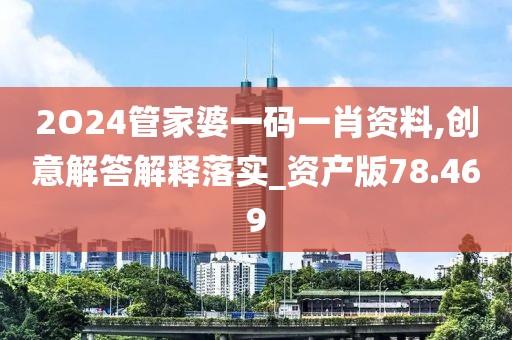 2O24管家婆一码一肖资料,创意解答解释落实_资产版78.469