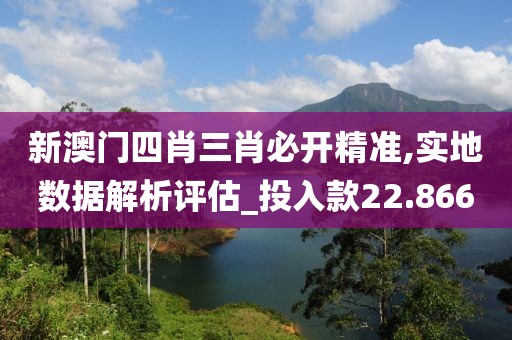 新澳门四肖三肖必开精准,实地数据解析评估_投入款22.866