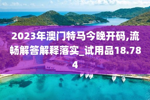 2023年澳门特马今晚开码,流畅解答解释落实_试用品18.784