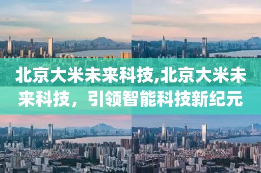 北京大米未来科技,北京大米未来科技，引领智能科技新纪元
