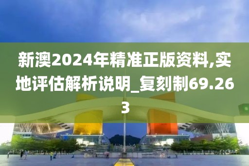 新澳2024年精准正版资料,实地评估解析说明_复刻制69.263