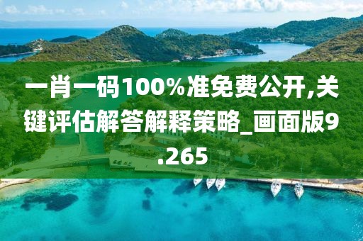 一肖一码100%准免费公开,关键评估解答解释策略_画面版9.265