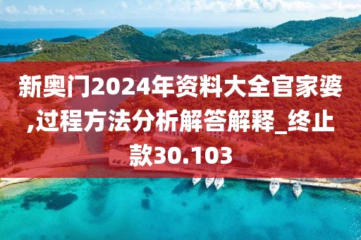 新奥门2024年资料大全官家婆,过程方法分析解答解释_终止款30.103