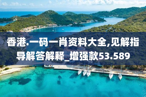 香港.一码一肖资料大全,见解指导解答解释_增强款53.589