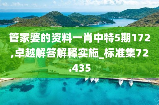 管家婆的资料一肖中特5期172,卓越解答解释实施_标准集72.435