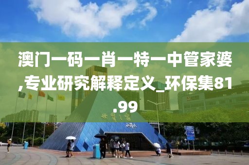 澳门一码一肖一特一中管家婆,专业研究解释定义_环保集81.99