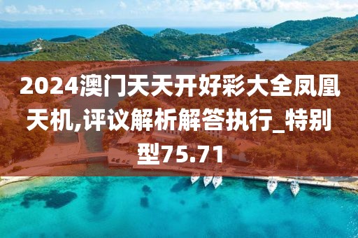 2024澳门天天开好彩大全凤凰天机,评议解析解答执行_特别型75.71