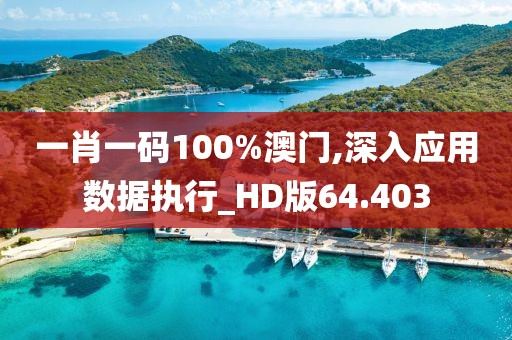 一肖一码100%澳门,深入应用数据执行_HD版64.403