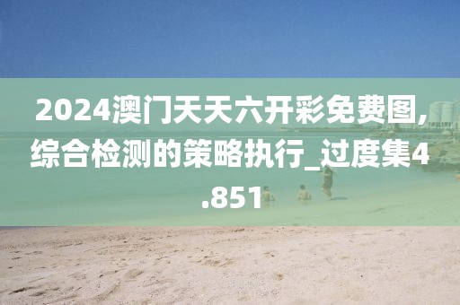 2024澳门天天六开彩免费图,综合检测的策略执行_过度集4.851